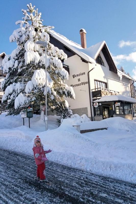 Hotel U Bernardyna Harrachov Exterior foto